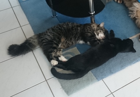 Schlafm�tzen
