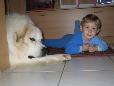 Dezember 2005